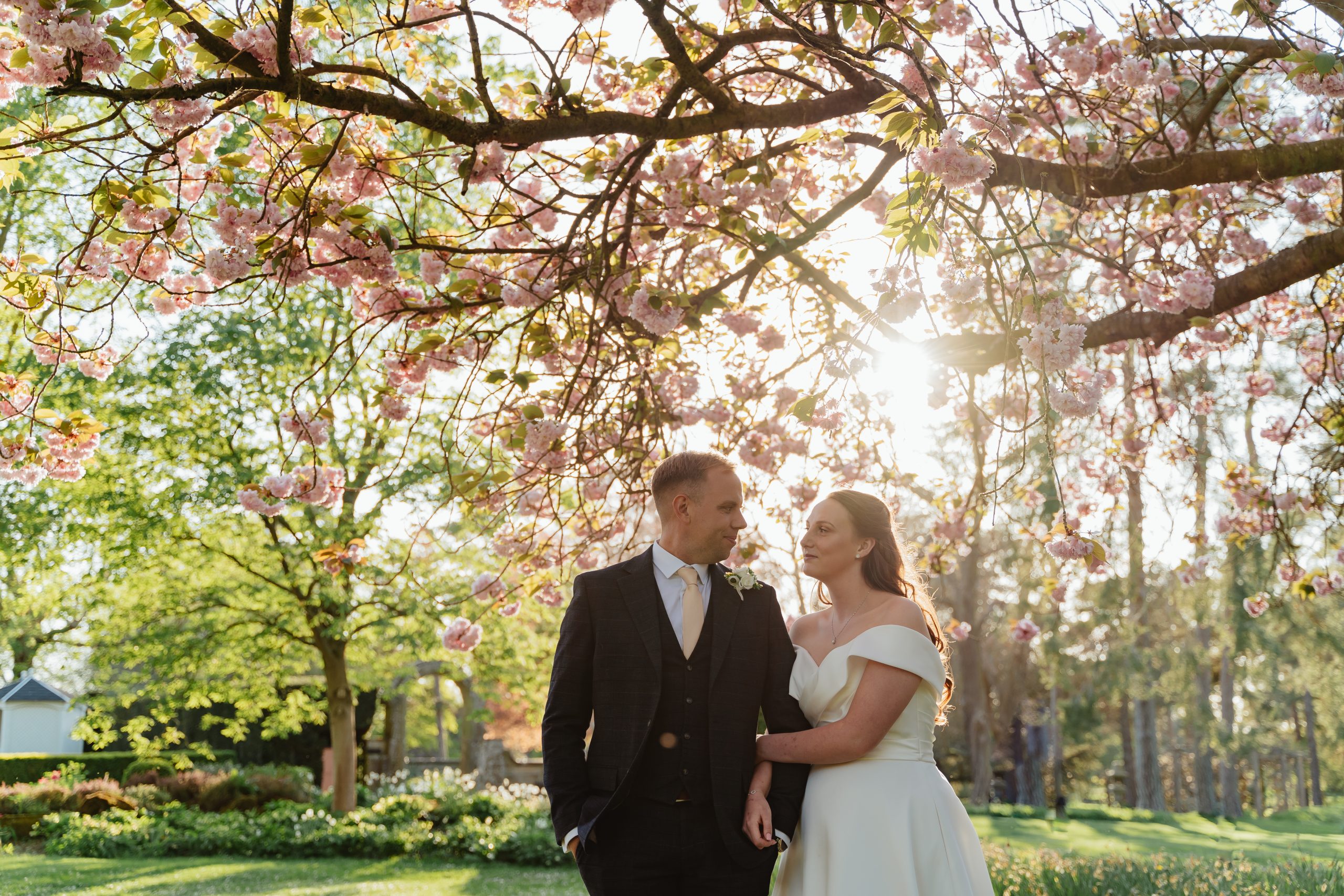 A couple snuggled up under a blossom tree at Fanhams Hall in Golden Hour